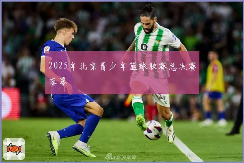 2025年北京青少年篮球联赛总决赛落幕
