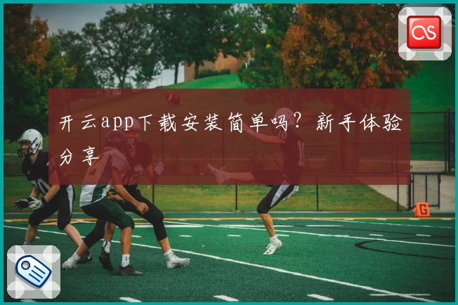 开云app下载安装简单吗？新手体验分享